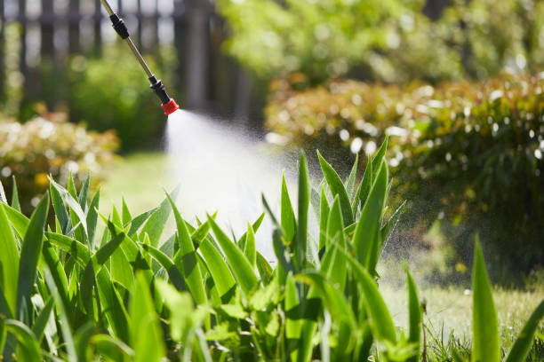 24/7 Emergency Cockroach Control experts in Dexter, MI
