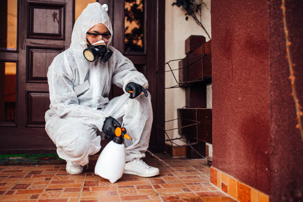 Reliable Cockroach Control contractor in Dexter, MI by Nex Pest Control